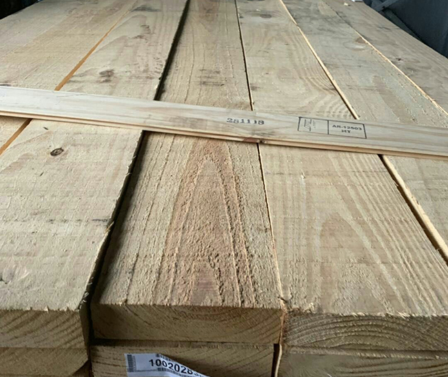 诸暨阿根廷松木
